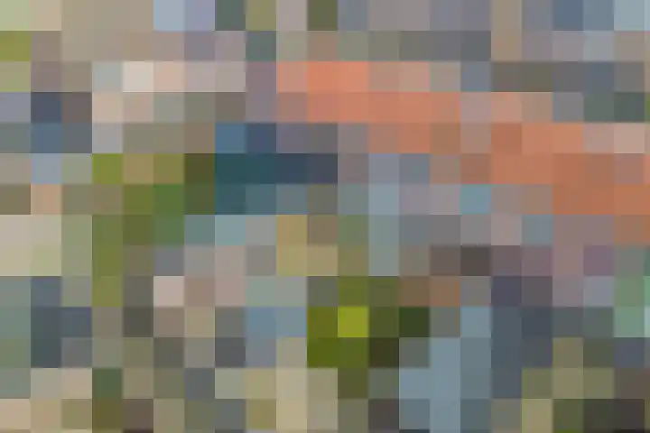 Wijtze Ennemastraat 4 Franeker thumbnail 33