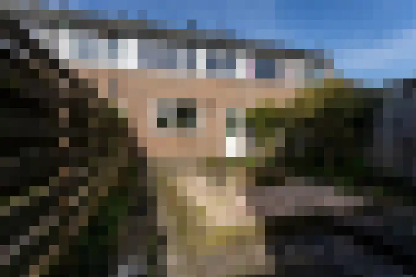 Wijzend 36 Bergen (NH) thumbnail 18