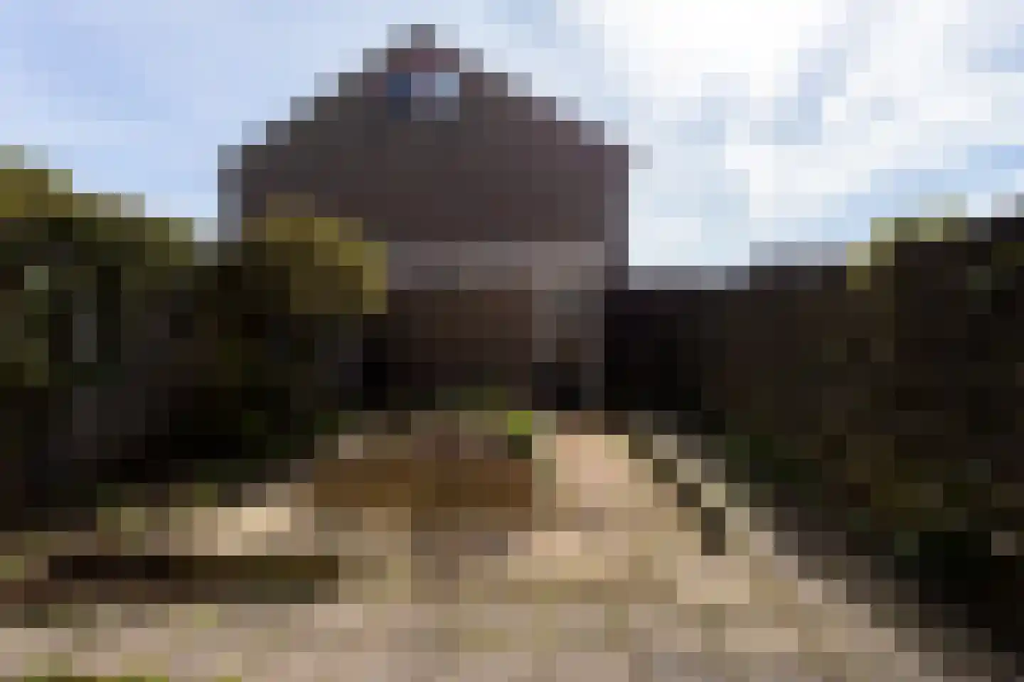 Wijzend 36 Bergen (NH) thumbnail 20