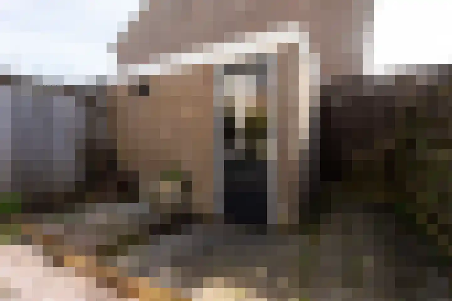 Wijzend 36 Bergen (NH) thumbnail 21