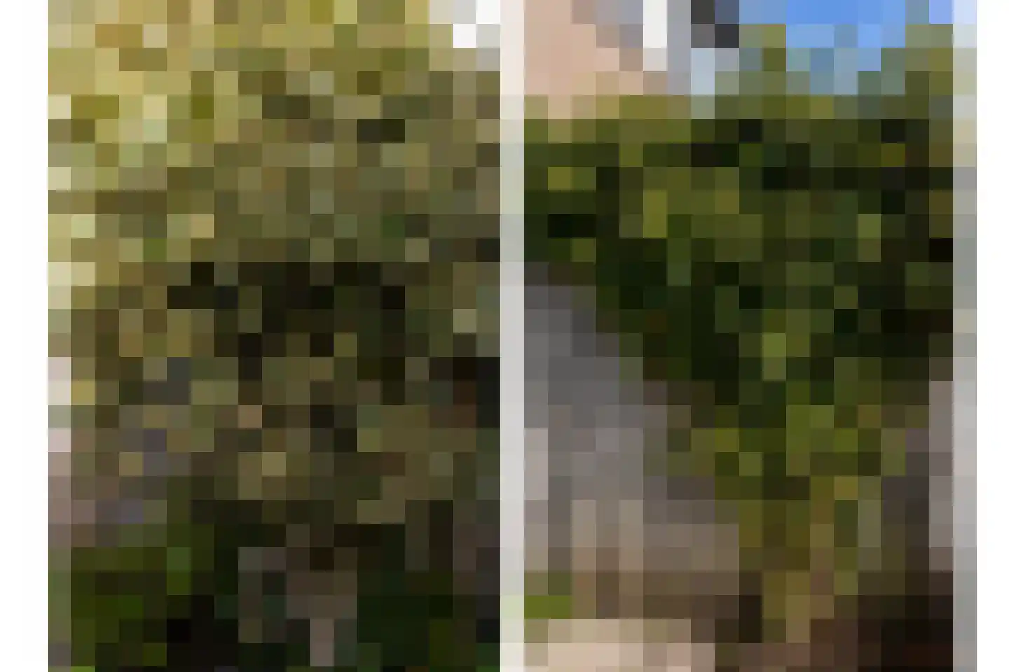 Wijzend 36 Bergen (NH) thumbnail 22
