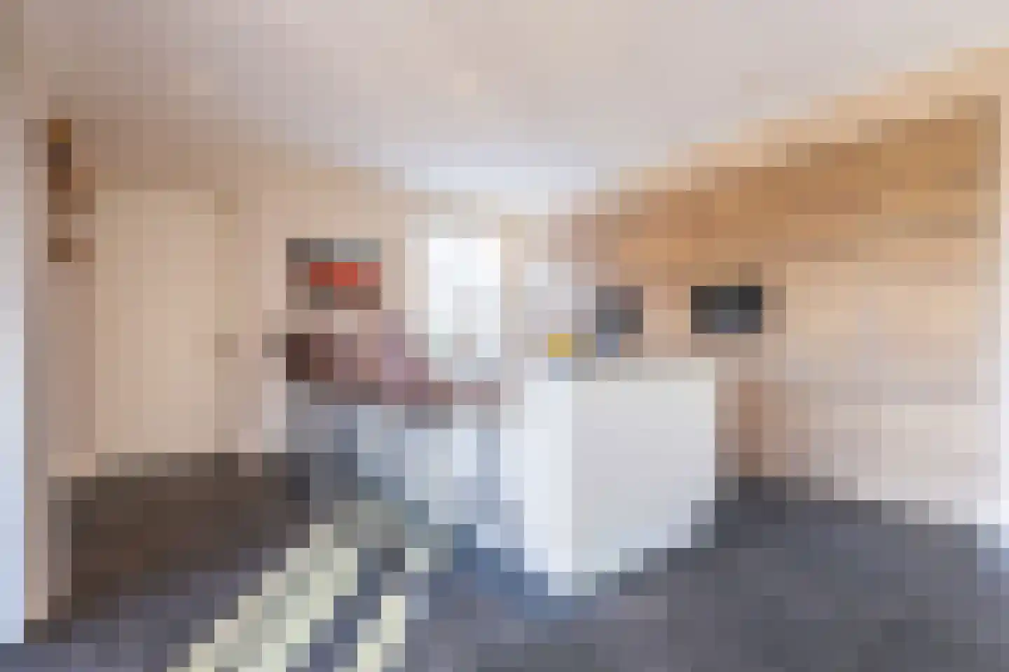 Wijzend 49 A Nibbixwoud thumbnail 11