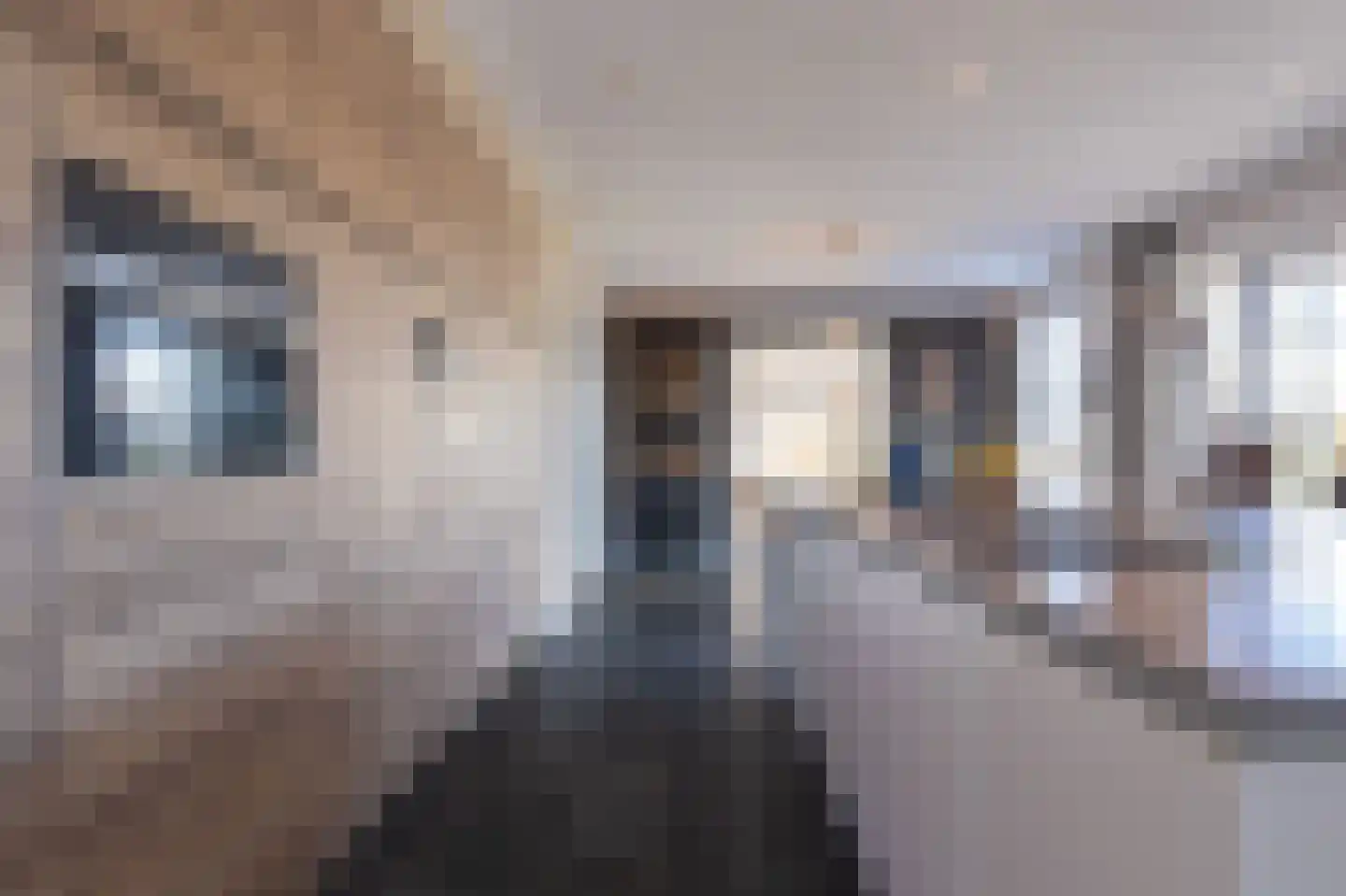 Wijzend 49 A Nibbixwoud thumbnail 13