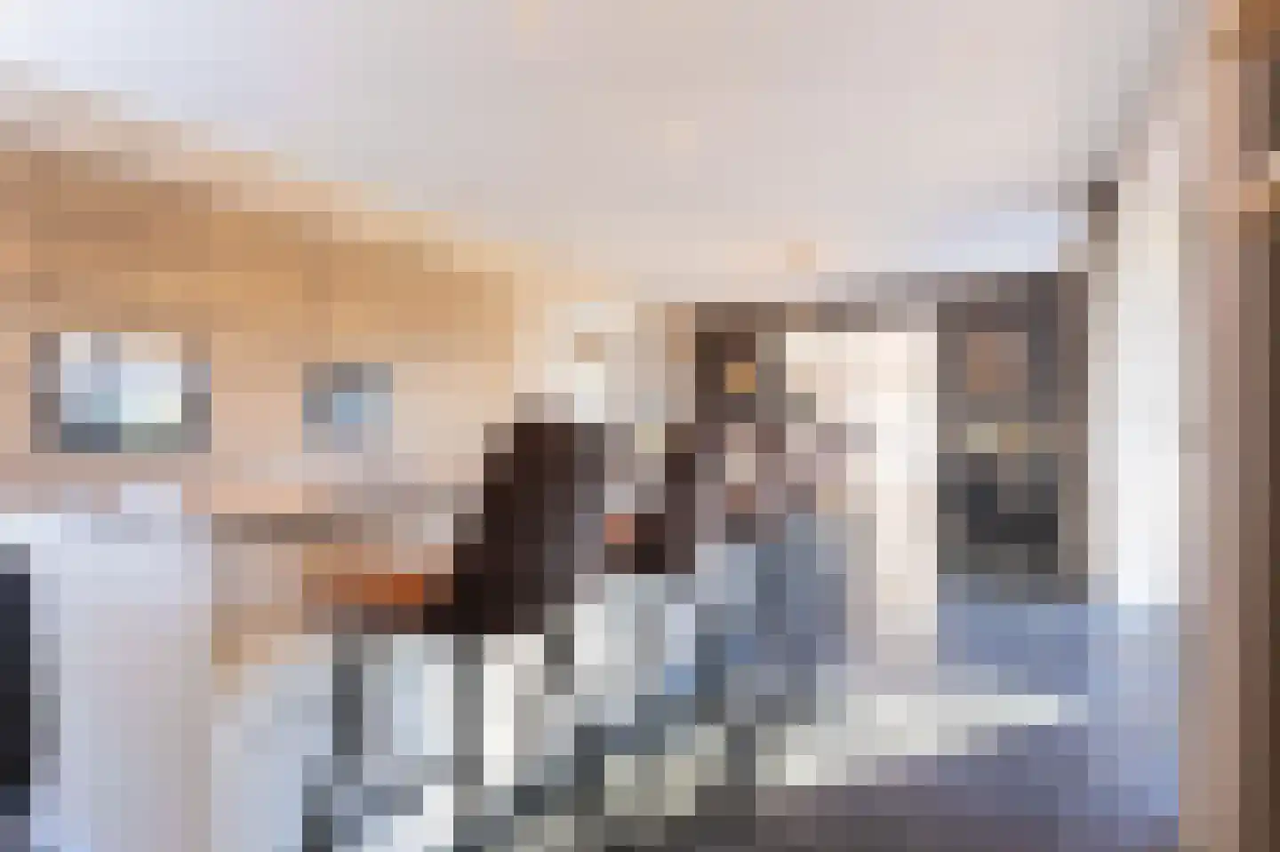 Wijzend 49 A Nibbixwoud thumbnail 14