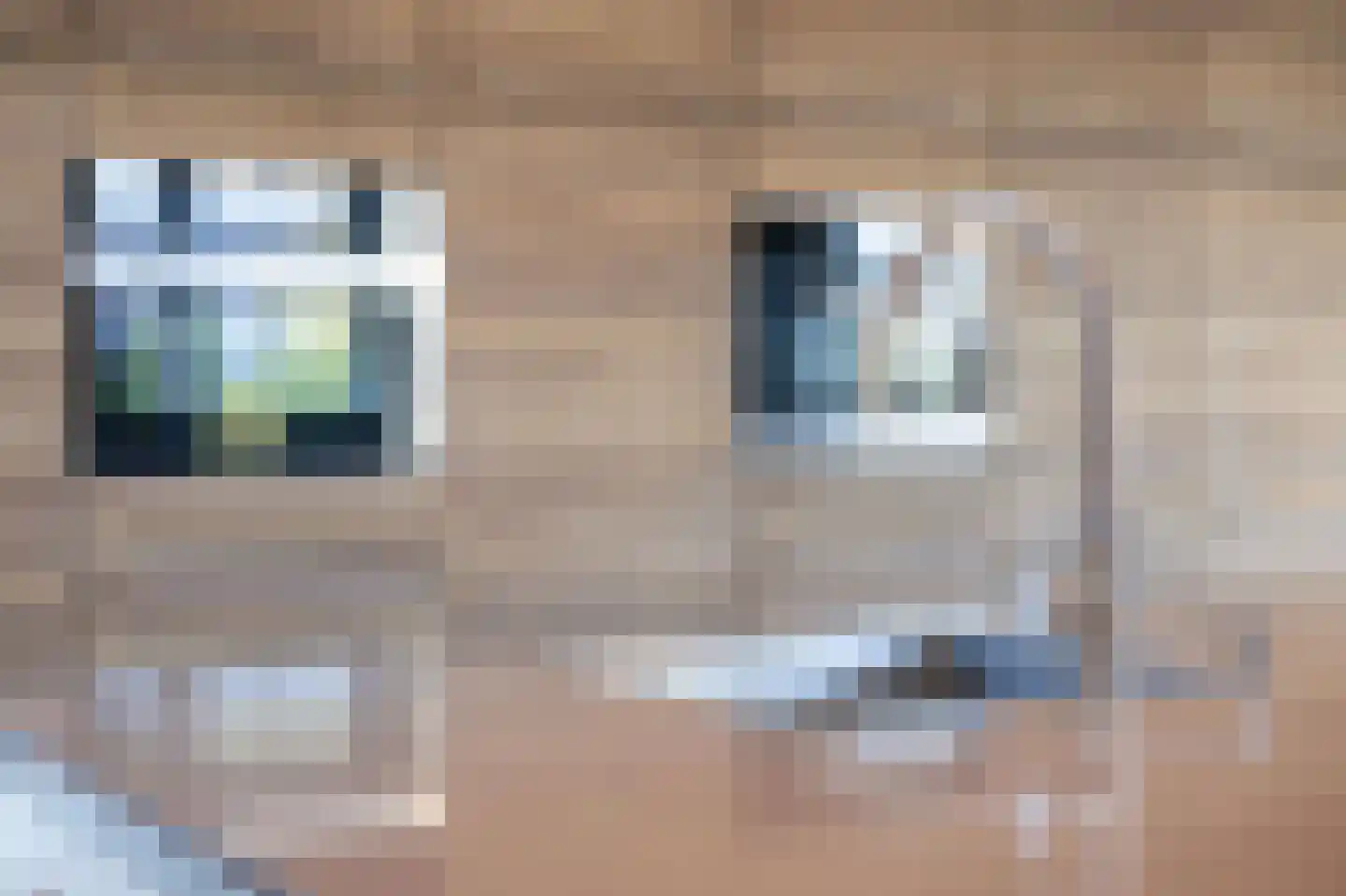 Wijzend 49 A Nibbixwoud thumbnail 15