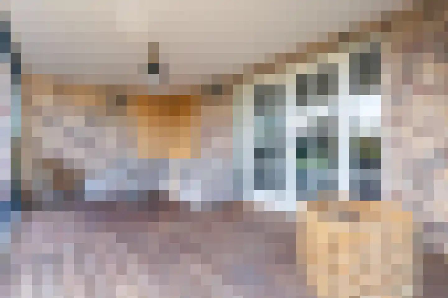 Wijzend 49 A Nibbixwoud thumbnail 22