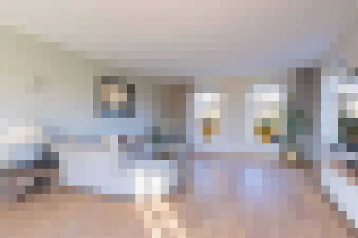 Wijzend 49 A Nibbixwoud thumbnail 32