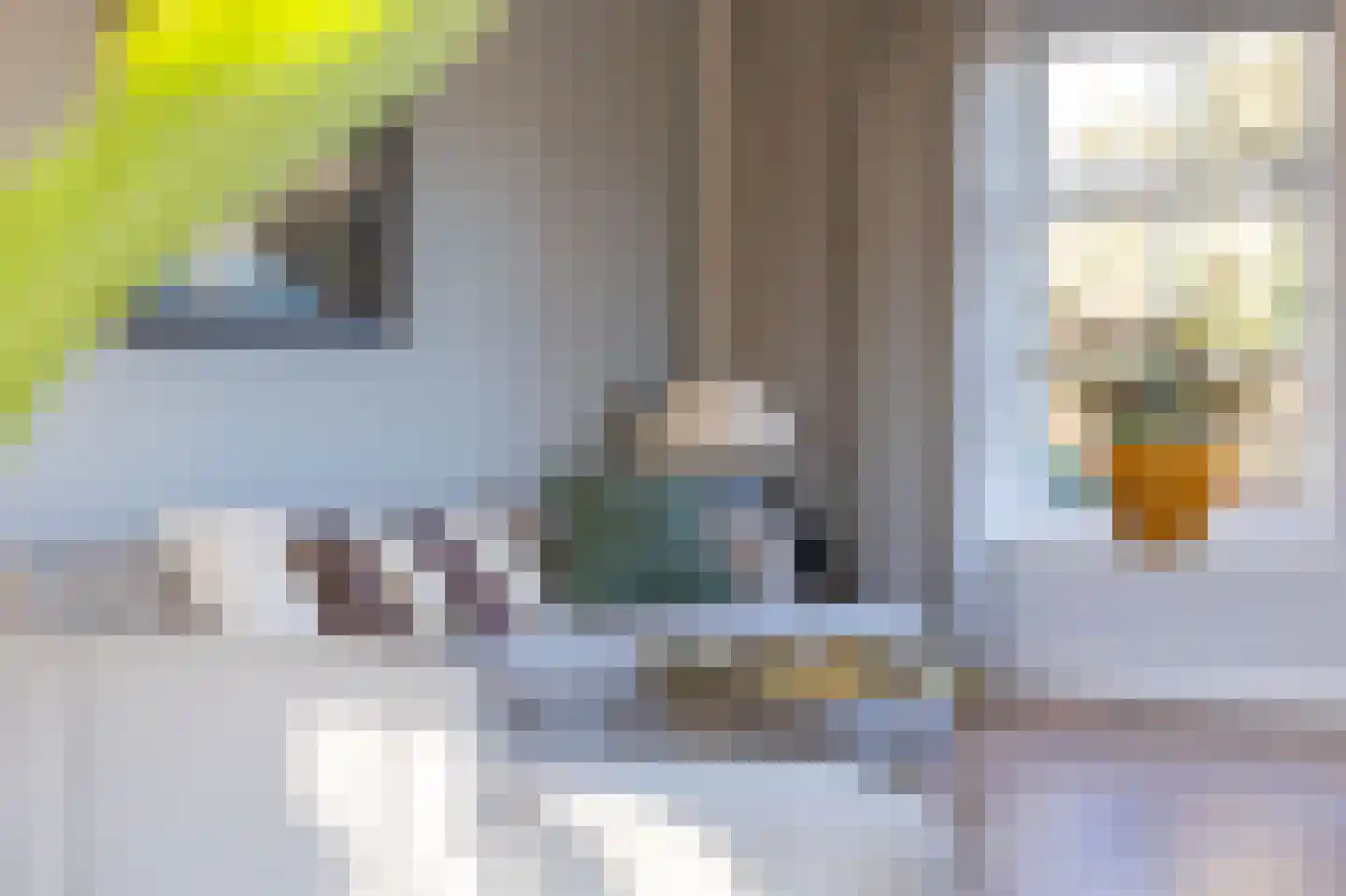 Wijzend 49 A Nibbixwoud thumbnail 38