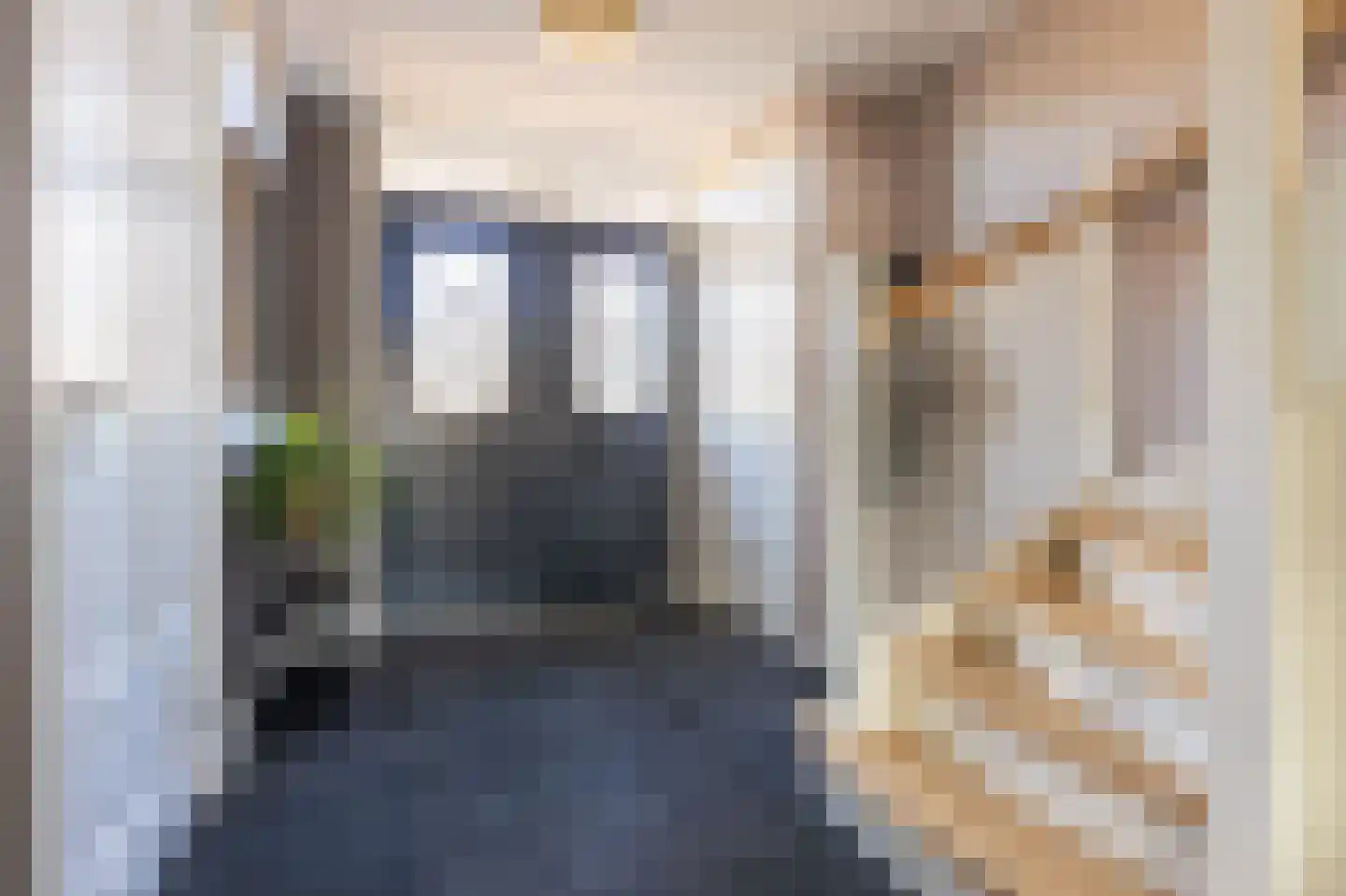 Wijzend 49 A Nibbixwoud thumbnail 45