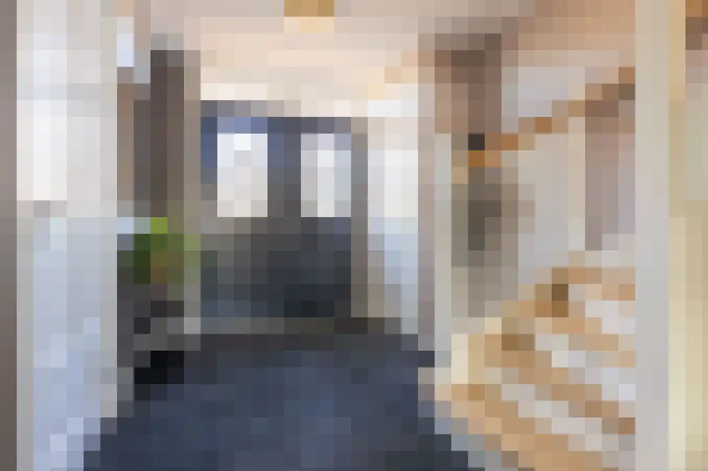 Wijzend 49 A Nibbixwoud thumbnail 45