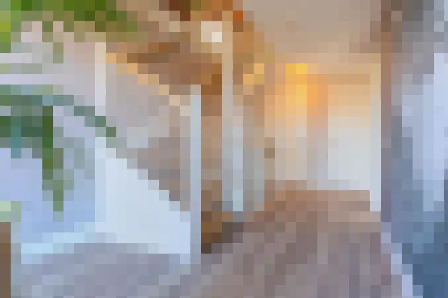 Wijzend 49 A Nibbixwoud thumbnail 46