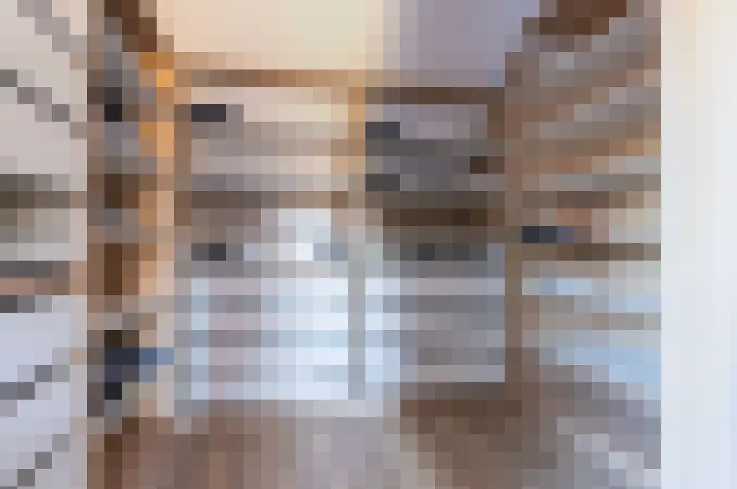 Wijzend 49 A Nibbixwoud thumbnail 49