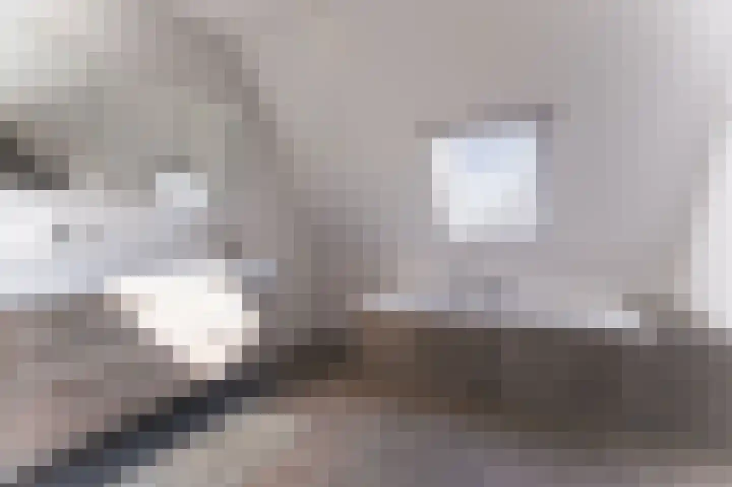 Wijzend 49 A Nibbixwoud thumbnail 51
