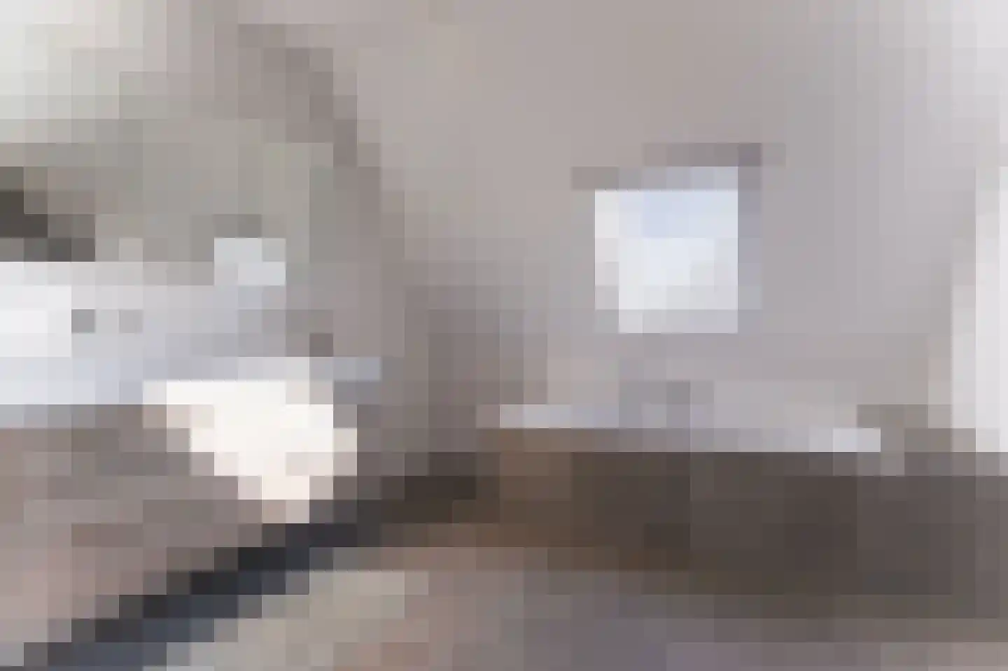 Wijzend 49 A Nibbixwoud thumbnail 51