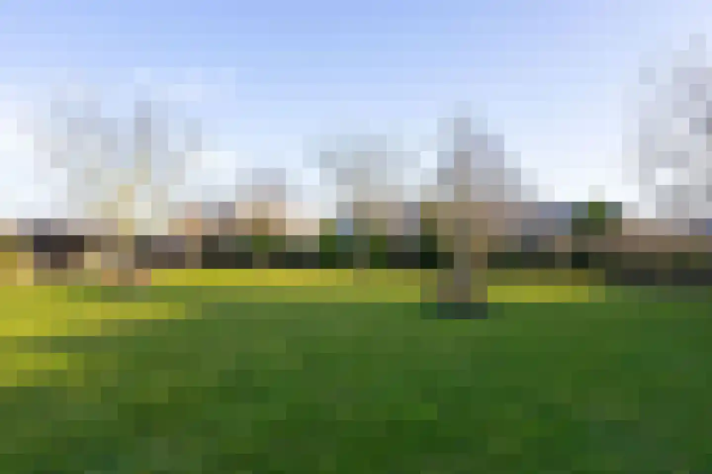 Wijzend 49 A Nibbixwoud thumbnail 70