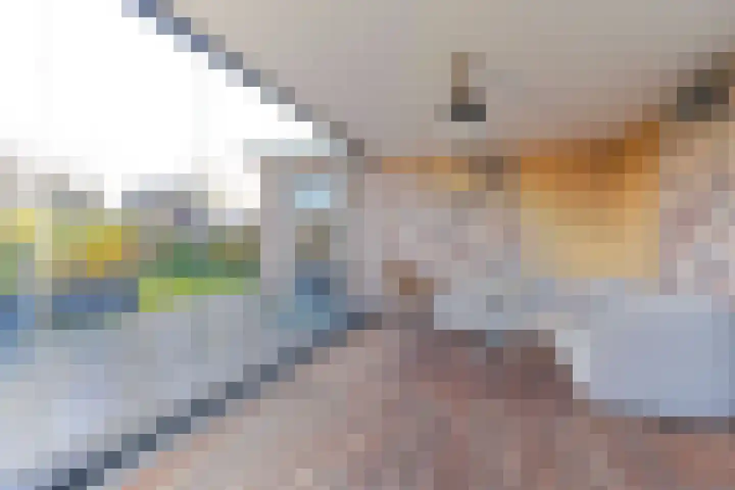 Wijzend 49 A Nibbixwoud thumbnail 80