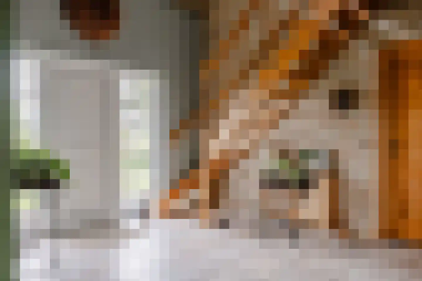Wijzenddijkje 1 Westwoud thumbnail 13