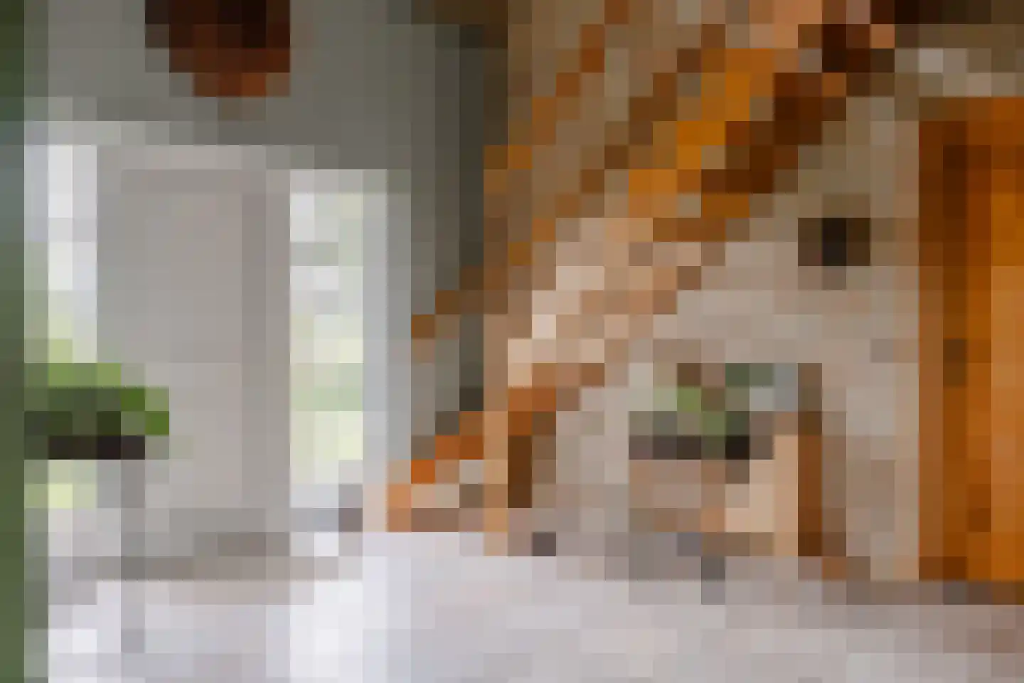 Wijzenddijkje 1 Westwoud thumbnail 14
