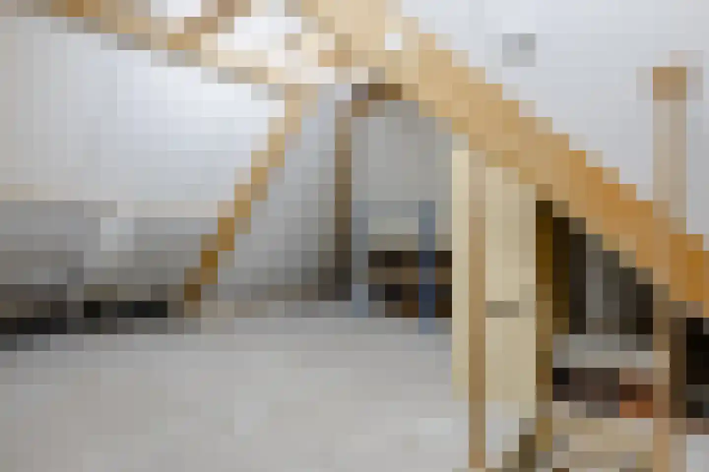 Wijzenddijkje 1 Westwoud thumbnail 19