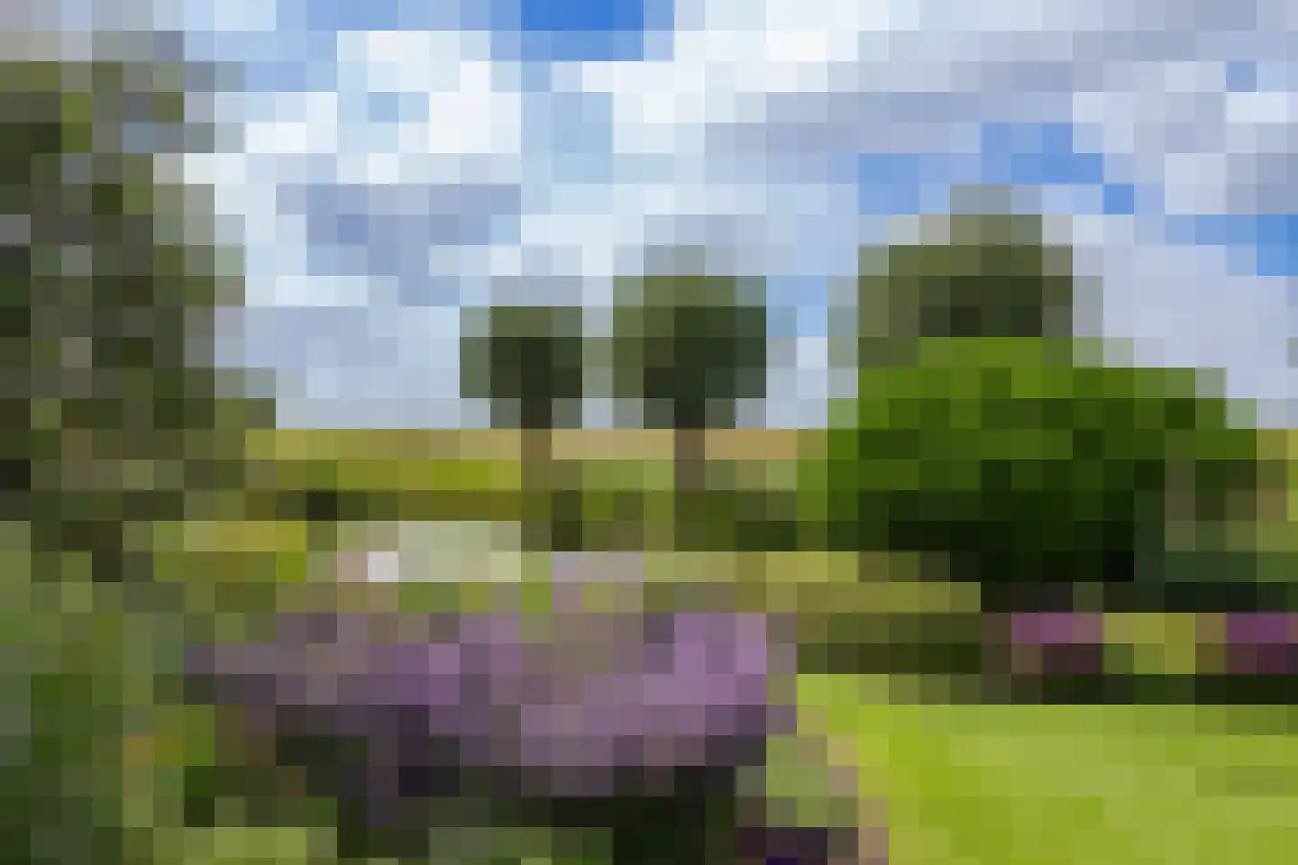 Wijzenddijkje 1 Westwoud thumbnail 25