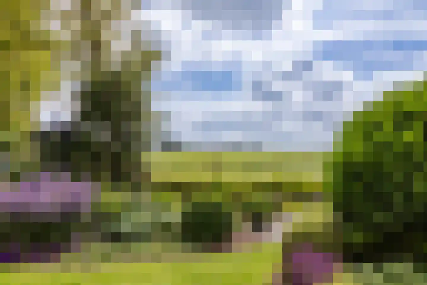 Wijzenddijkje 1 Westwoud thumbnail 28