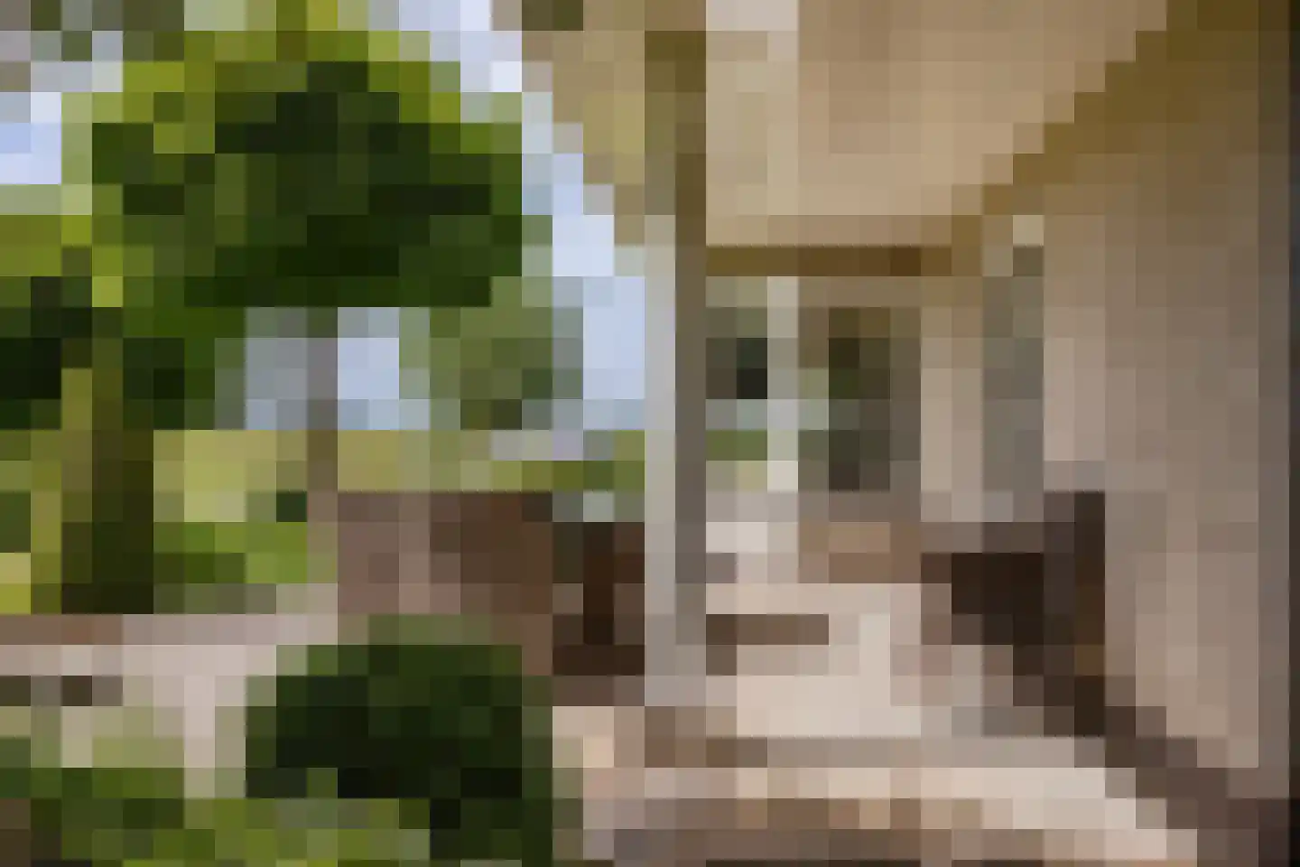 Wijzenddijkje 1 Westwoud thumbnail 29