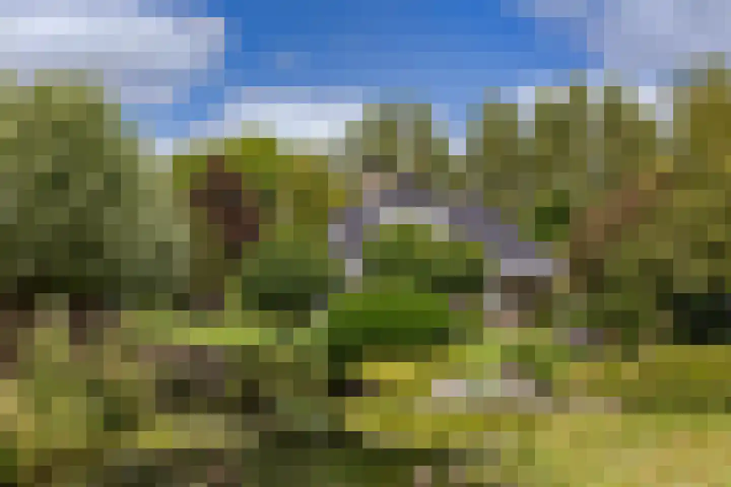 Wijzenddijkje 1 Westwoud foto 3