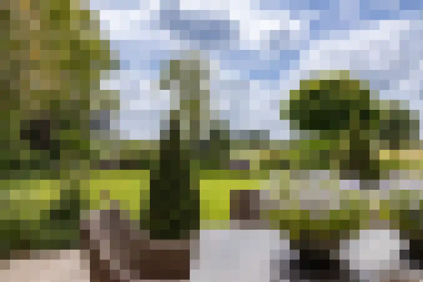 Wijzenddijkje 1 Westwoud thumbnail 30