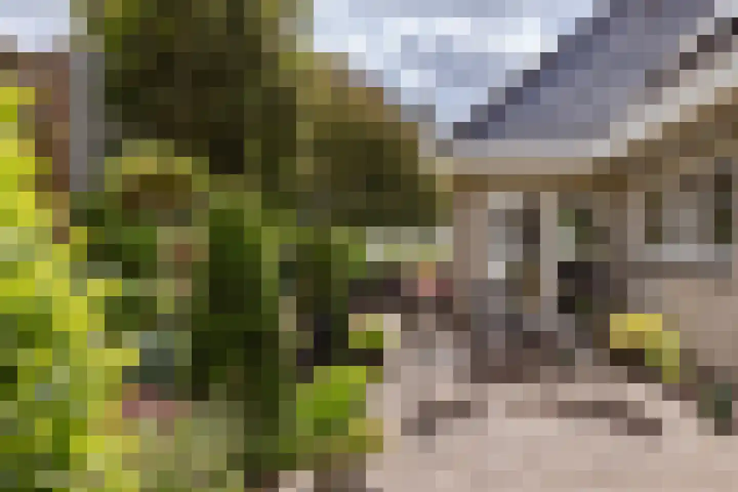 Wijzenddijkje 1 Westwoud thumbnail 31