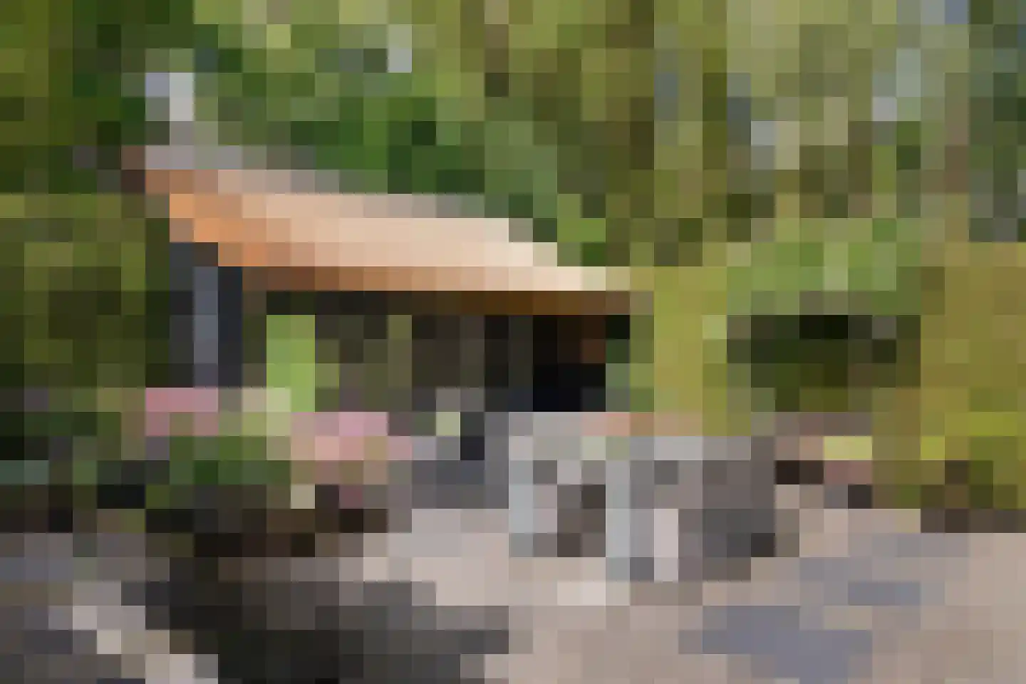 Wijzenddijkje 1 Westwoud thumbnail 32