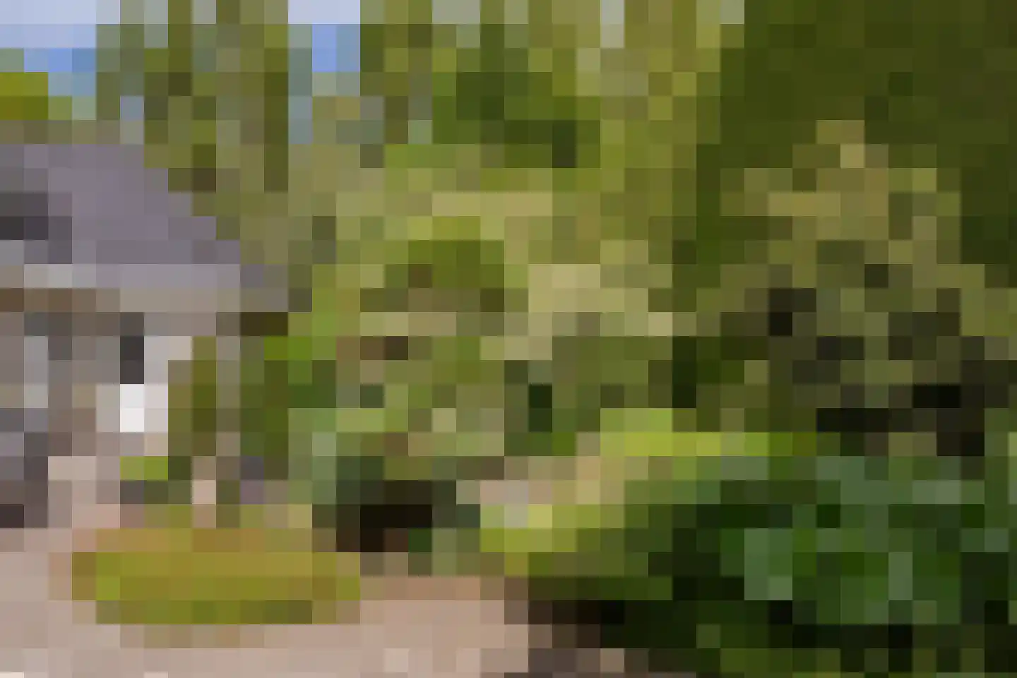 Wijzenddijkje 1 Westwoud thumbnail 32