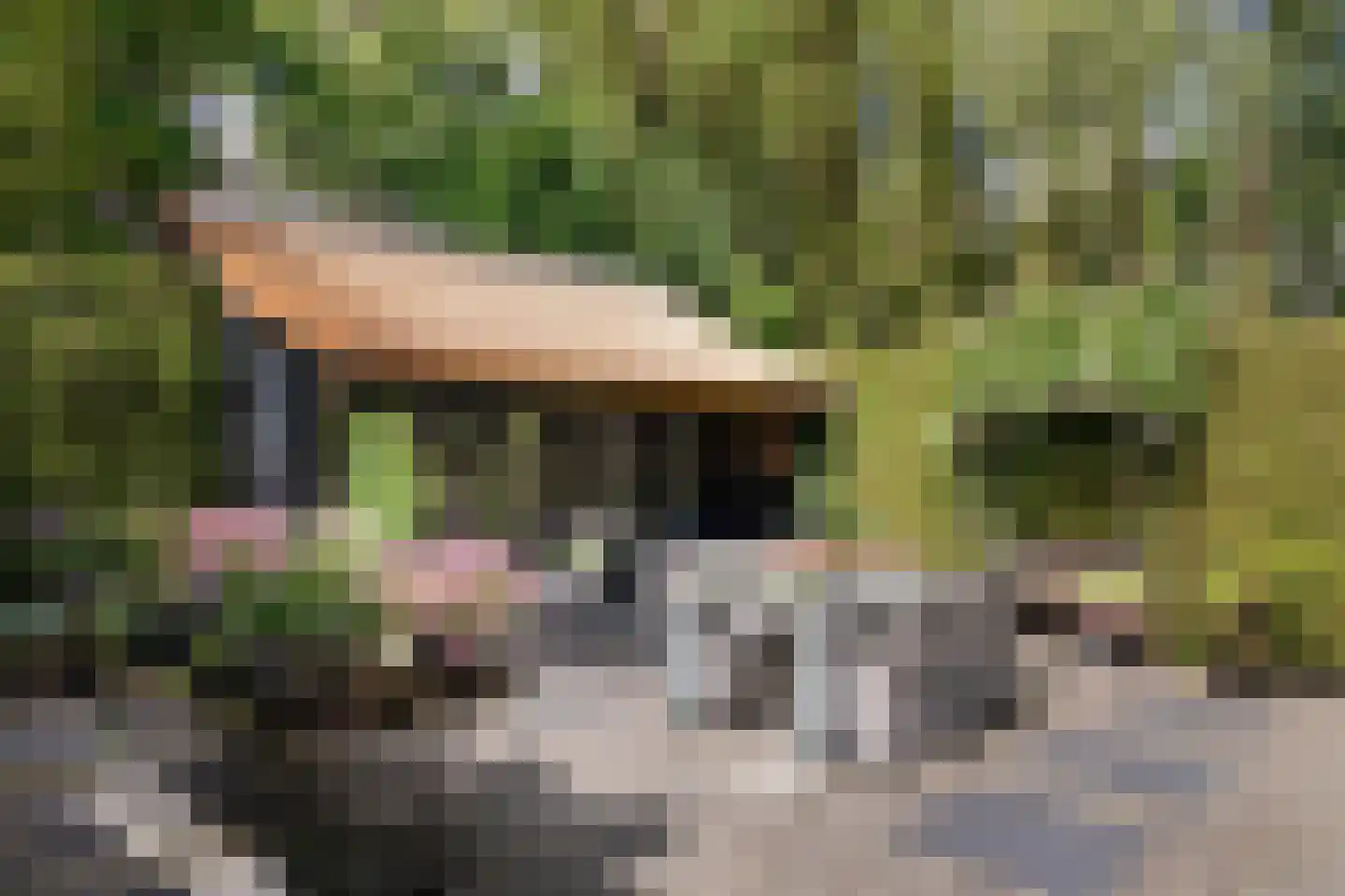 Wijzenddijkje 1 Westwoud thumbnail 33