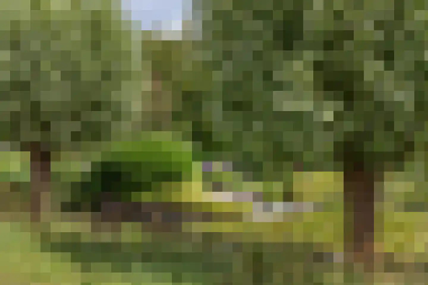 Wijzenddijkje 1 Westwoud thumbnail 35