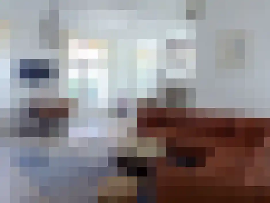 Wikelerdyk 16 Balk thumbnail 11