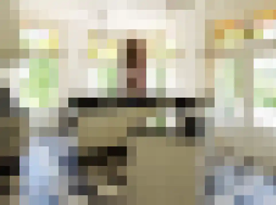 Wikelerdyk 16 Balk thumbnail 12