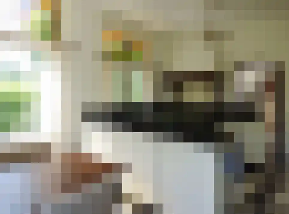 Wikelerdyk 16 Balk thumbnail 13