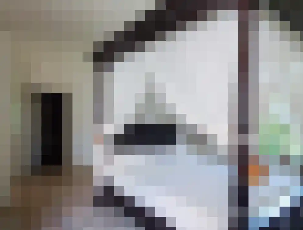 Wikelerdyk 16 Balk thumbnail 14