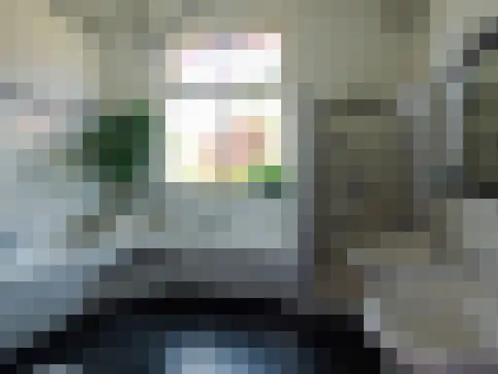 Wikelerdyk 16 Balk thumbnail 15