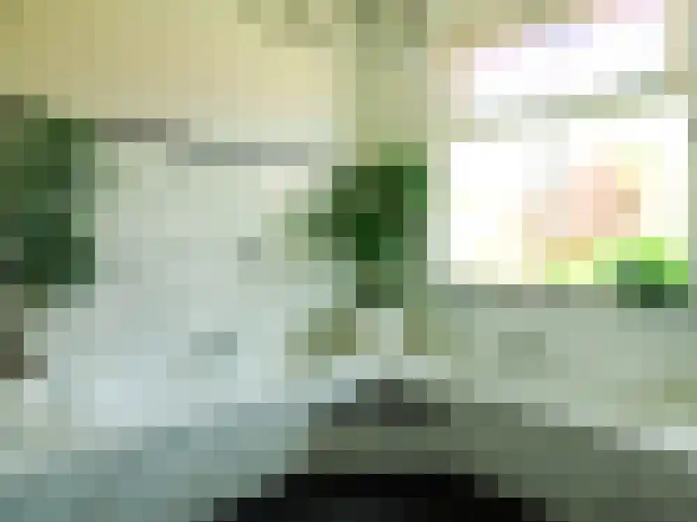 Wikelerdyk 16 Balk thumbnail 16