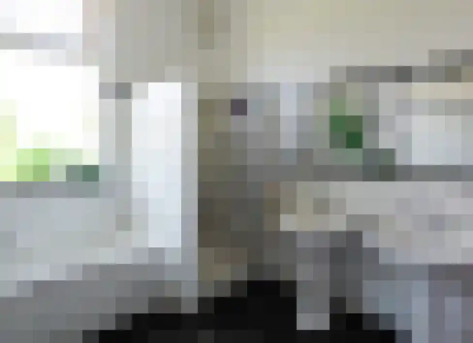 Wikelerdyk 16 Balk thumbnail 17