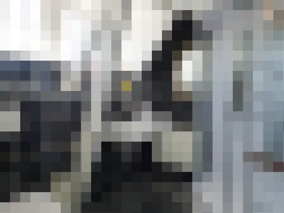 Wikelerdyk 16 Balk thumbnail 22
