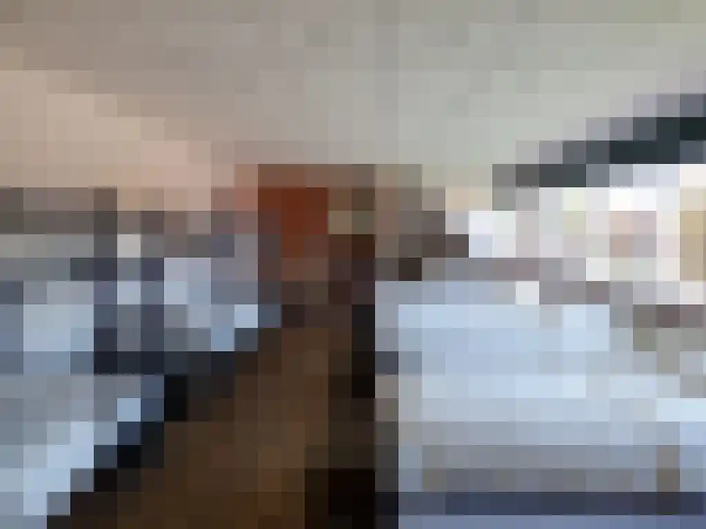 Wikelerdyk 16 Balk thumbnail 24
