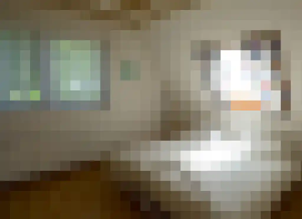 Wikelerdyk 16 Balk thumbnail 29