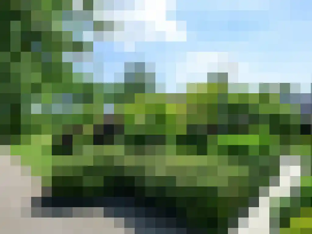 Wikelerdyk 16 Balk thumbnail 30