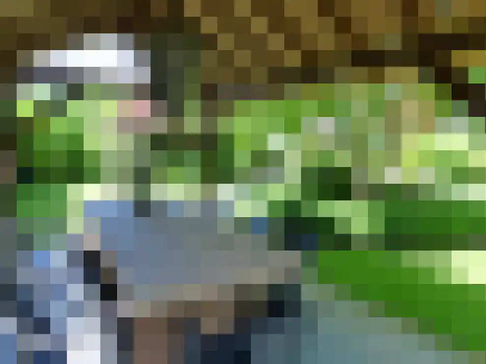 Wikelerdyk 16 Balk thumbnail 31