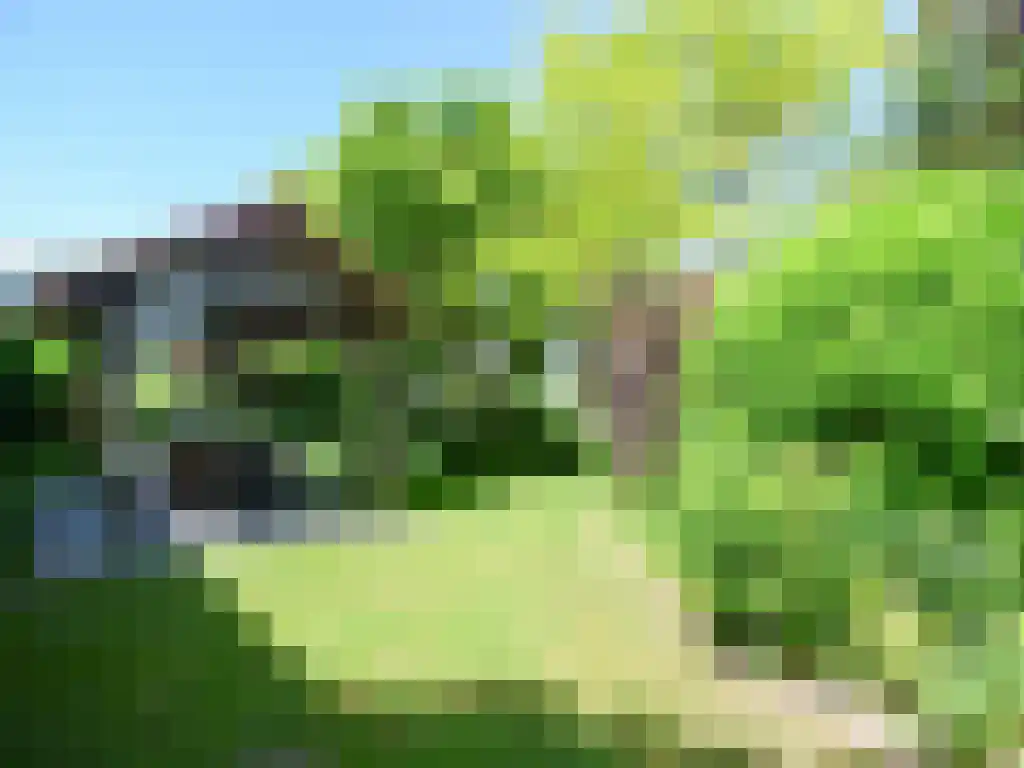 Wikelerdyk 16 Balk thumbnail 32