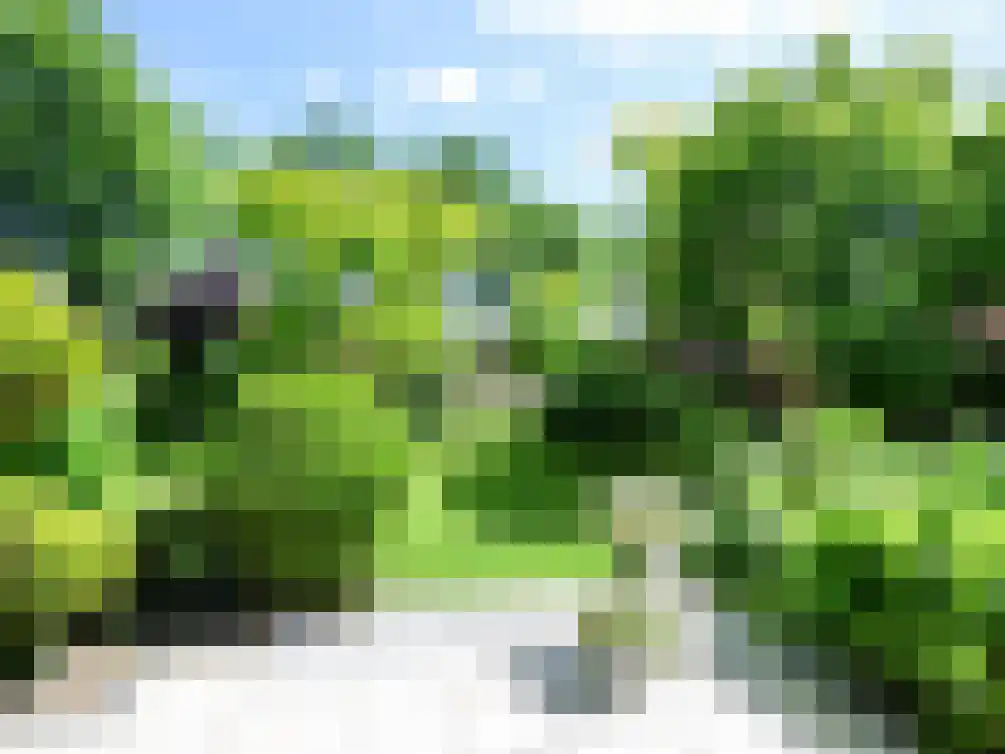 Wikelerdyk 16 Balk thumbnail 33