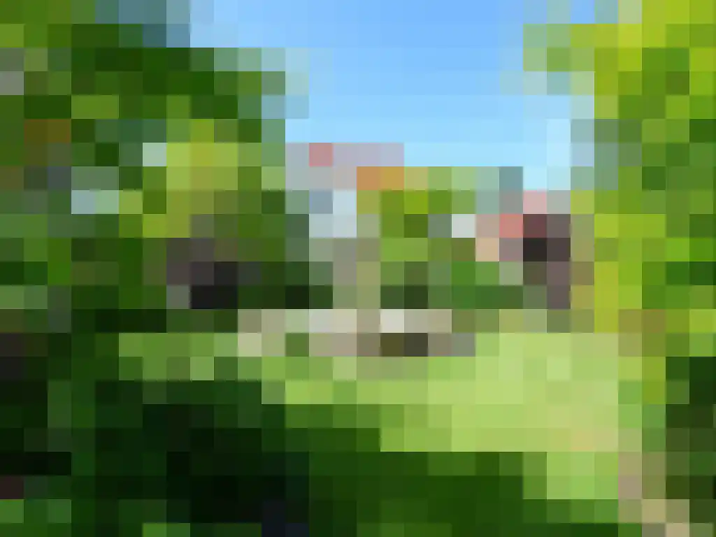 Wikelerdyk 16 Balk thumbnail 34
