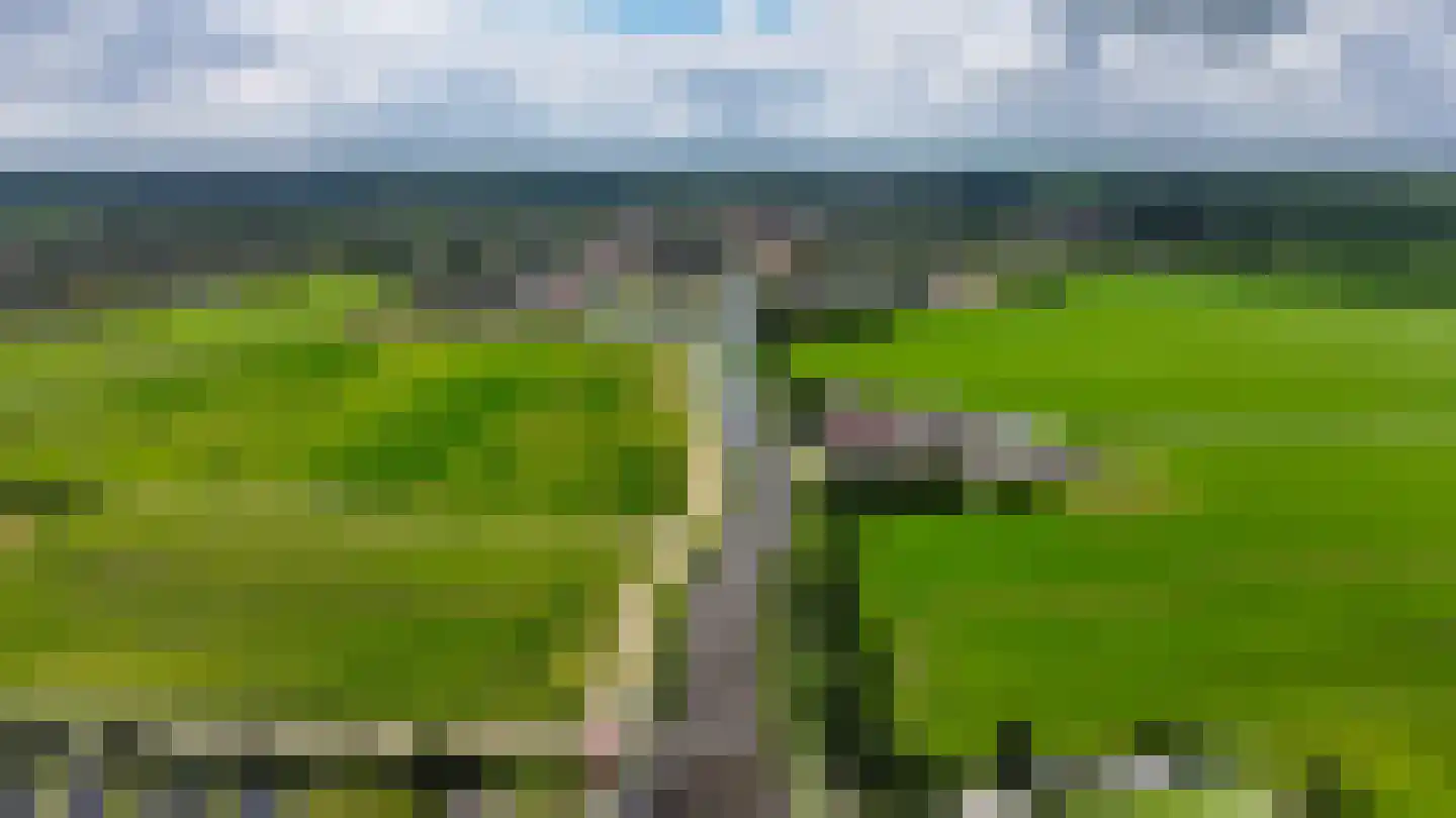 Wikelerdyk 16 Balk thumbnail 36