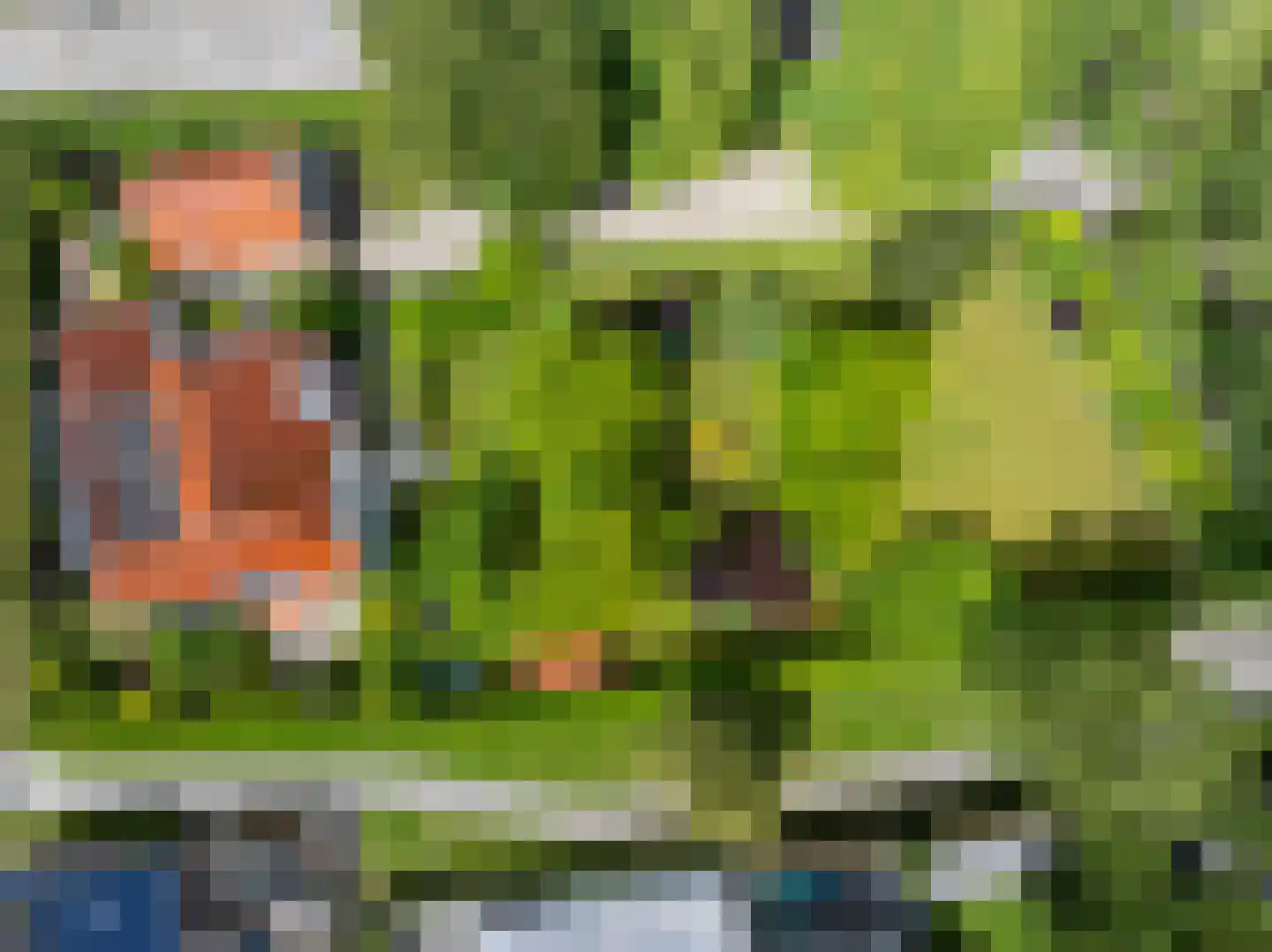 Wikelerdyk 16 Balk thumbnail 6